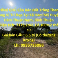 CHÍNH CHỦ Cần Bán Đất Trồng Thanh Long Vị Trí Đẹp Tại Xã Hàm Mỹ Huyện Hàm Thuận Nam, Bình Thuận