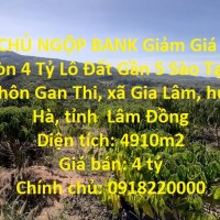CHÍNH CHỦ NGỘP BANK Giảm Giá Từ 5 Tỷ Xuống Còn 4 Tỷ Lô Đất Gần 5 Sào Tại Lâm Hà