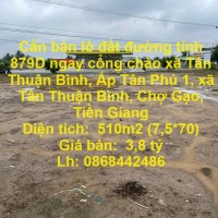 Cần bán lô đất đường tỉnh 879D ngay cổng chào xã Tân Thuận Bình, Chợ Gạo , Tiền Giang