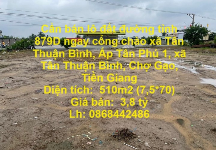 Cần bán lô đất đường tỉnh 879D ngay cổng chào xã Tân Thuận Bình, Chợ Gạo , Tiền Giang