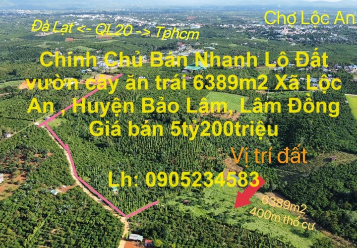 Chính Chủ Bán Nhanh Lô Đất vườn cây ăn trái 6389m2 Xã Lộc An , Huyện Bảo Lâm, Lâm Đồng