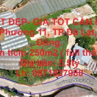 ĐẤT ĐẸP- GIÁ TỐT CẦN Bán Tại  Phường 11 ,TP Đà Lạt ,Lâm Đồng