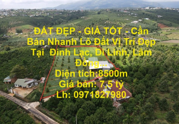 ĐẤT ĐẸP - GIÁ TỐT - Cần Bán Nhanh Lô Đất Vị Trí Đẹp Tại  Đinh Lạc, Di Linh, Lâm Đồng