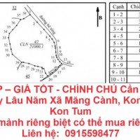 ĐẤT ĐẸP – GIÁ TỐT - CHÍNH CHỦ Cần Bán Khu Đất Cây Lâu Năm Xã Măng Cành, Kon Plong, Kon Tum