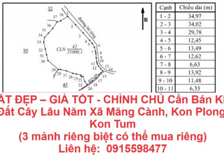 ĐẤT ĐẸP – GIÁ TỐT - CHÍNH CHỦ Cần Bán Khu Đất Cây Lâu Năm Xã Măng Cành, Kon Plong, Kon Tum