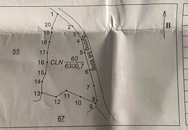 ĐẤT ĐẸP – GIÁ TỐT - CHÍNH CHỦ Cần Bán Khu Đất Cây Lâu Năm Xã Măng Cành, Kon Plong, Kon Tum