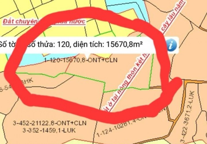 Cần Bán Nhà Và Rẫy 17.000m2 (1,7ha) Tại Ấp 8, Xã Sông Trầu, Trảng Bom - Đồng Nai