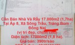 Cần Bán Nhà Và Rẫy 17.000m2 (1,7ha) Tại Ấp 8, Xã Sông Trầu, Trảng Bom - Đồng Nai