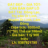 ĐẤT ĐẸP – GIÁ TỐT- CẦN BÁN GẤP LÔ ĐẤT TẠI  Đồng Lạc, Thị trấn Di Linh, Huyện Di Linh, Lâm Đồng