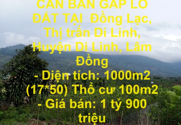 ĐẤT ĐẸP – GIÁ TỐT- CẦN BÁN GẤP LÔ ĐẤT TẠI  Đồng Lạc, Thị trấn Di Linh, Huyện Di Linh, Lâm Đồng