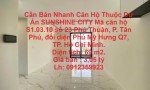 Cần Bán Nhanh Căn Hộ Thuộc Dự Án SUNSHINE CITY Phú Thuận, phường Tân phú, Quận 7, TP Hồ Chí Minh