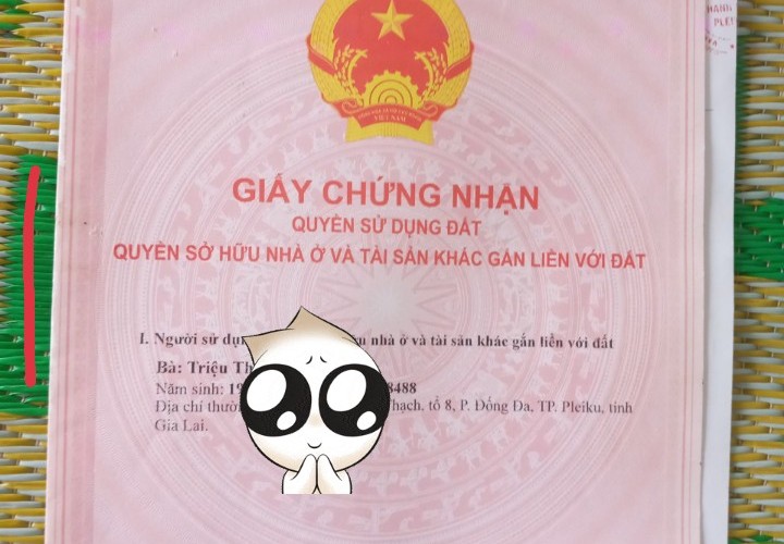 ĐẤT CHÍNH CHỦ - CẦN BÁN  LÔ ĐẤT 2 MĂT TIỀN TẠI  68 Phạm Ngọc Thạch, Đống Đa, TP Pleiku, Gia Lai