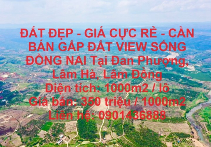 ĐẤT ĐẸP - GIÁ CỰC RẺ - CẦN BÁN GẤP ĐẤT VIEW SỐNG ĐỒNG NAI Tại Đan Phượng, Lâm Hà, Lâm Đồng