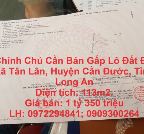 CHÍNH CHỦ CẦN BÁN GẤP LÔ ĐẤT ĐC XÃ TÂN LÂN, HUYỆN CẦN ĐƯỚC, TỈNH LONG AN