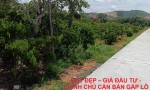 ĐẤT ĐẸP – GIÁ ĐẦU TƯ - CHÍNH CHỦ CẦN BÁN GẤP LÔ ĐẤT Xã EaPal, Eakar, Đắk Lắk.