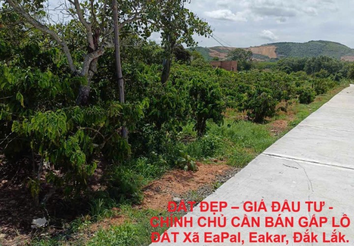ĐẤT ĐẸP – GIÁ ĐẦU TƯ - CHÍNH CHỦ CẦN BÁN GẤP LÔ ĐẤT Xã EaPal, Eakar, Đắk Lắk.