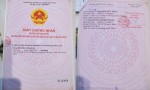 NHÀ ĐẸP - GIÁ TỐT -  CHÍNH CHỦ Cần Bán Nhanh Căn Nhà Đẹp Vị Trí Tại Quận 8, TP HCM