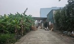 ĐẤT ĐẸP- GIÁ TỐT CHÍNH CHỦ BÁN ĐẤT(TÌM NGƯỜI MUA THIỆN CHÍ) tại huyện Phú Xuyên, Tp Hà Nội