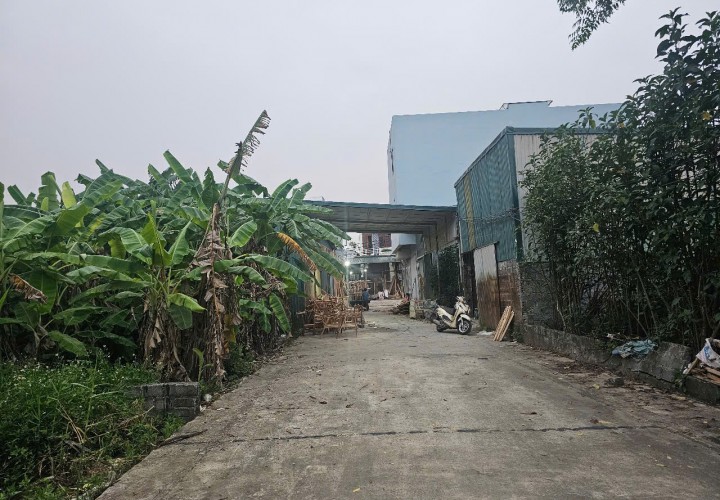 ĐẤT ĐẸP- GIÁ TỐT CHÍNH CHỦ BÁN ĐẤT(TÌM NGƯỜI MUA THIỆN CHÍ) tại huyện Phú Xuyên, Tp Hà Nội