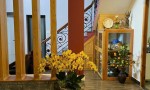 Chính Chủ Bán Nhà Mặt Tiền QL20 Thị Trấn Dran, Đơn Dương, Lâm Đồng - Giá Siêu Tốt