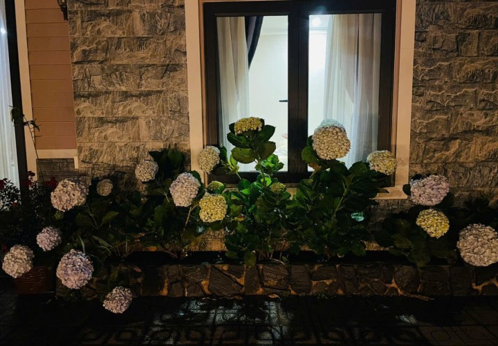 Chính Chủ Bán Nhà Mặt Tiền QL20 Thị Trấn Dran, Đơn Dương, Lâm Đồng - Giá Siêu Tốt
