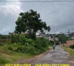 ĐẤT SIÊU ĐẸP  - GIÁ ĐẦU TƯ CHÍNH CHỦ BÁN NHANH ĐẤT TẠI  Nguyễn Việt Xuân,Xã Đam Bri, Bảo Lộc
