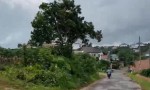 ĐẤT SIÊU ĐẸP  - GIÁ ĐẦU TƯ CHÍNH CHỦ BÁN NHANH ĐẤT TẠI  Nguyễn Việt Xuân,Xã Đam Bri, Bảo Lộc