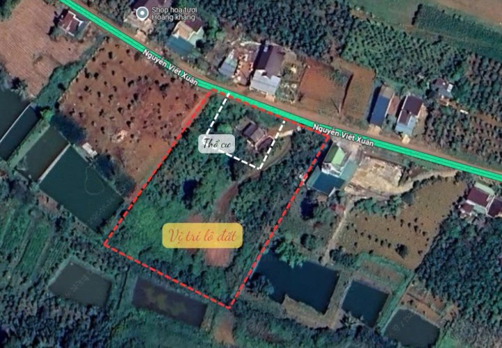 ĐẤT SIÊU ĐẸP  - GIÁ ĐẦU TƯ CHÍNH CHỦ BÁN NHANH ĐẤT TẠI  Nguyễn Việt Xuân,Xã Đam Bri, Bảo Lộc