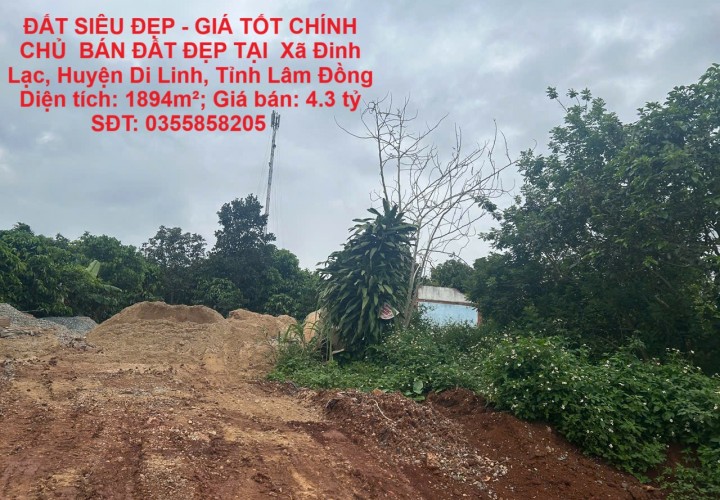 ĐẤT SIÊU ĐẸP - GIÁ TỐT CHÍNH CHỦ  BÁN ĐẤT ĐẸP TẠI  Xã Đinh Lạc, DI LINH – LÂM ĐỒNG