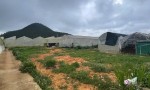Đất VỊ TRÍ ĐẸP - GIÁ TỐT - Chính Chủ Bán 10 Lô Đất Phường 12, TP Đà Lạt, Lâm Đồng