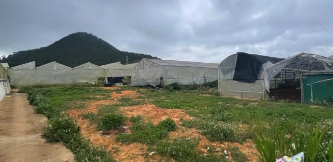 Đất VỊ TRÍ ĐẸP - GIÁ TỐT - Chính Chủ Bán 10 Lô Đất Phường 12, TP Đà Lạt, Lâm Đồng