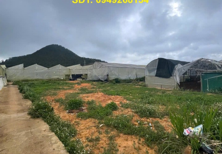 Đất VỊ TRÍ ĐẸP - GIÁ TỐT - Chính Chủ Bán 10 Lô Đất Phường 12, TP Đà Lạt, Lâm Đồng