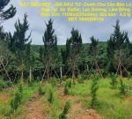 ĐẤT SIÊU ĐẸP - GIÁ ĐẦU TƯ- Chính Chủ Cần Bán Lô Đất Vị Trí Đẹp Tại  Xã  ĐạSar, Lạc Dương, Lâm Đồng