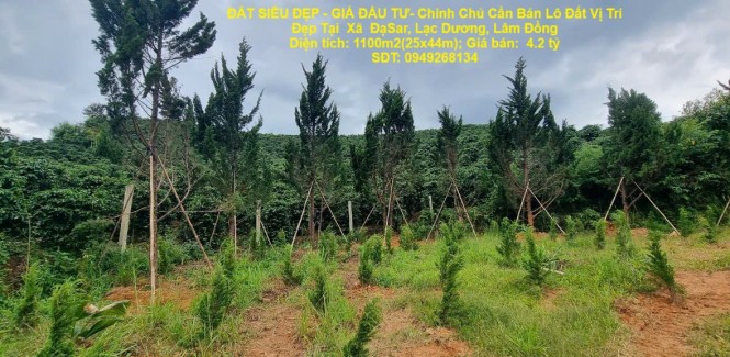 ĐẤT SIÊU ĐẸP - GIÁ ĐẦU TƯ- Chính Chủ Cần Bán Lô Đất Vị Trí Đẹp Tại Xã ĐạSar, Lạc Dương, Lâm Đồng