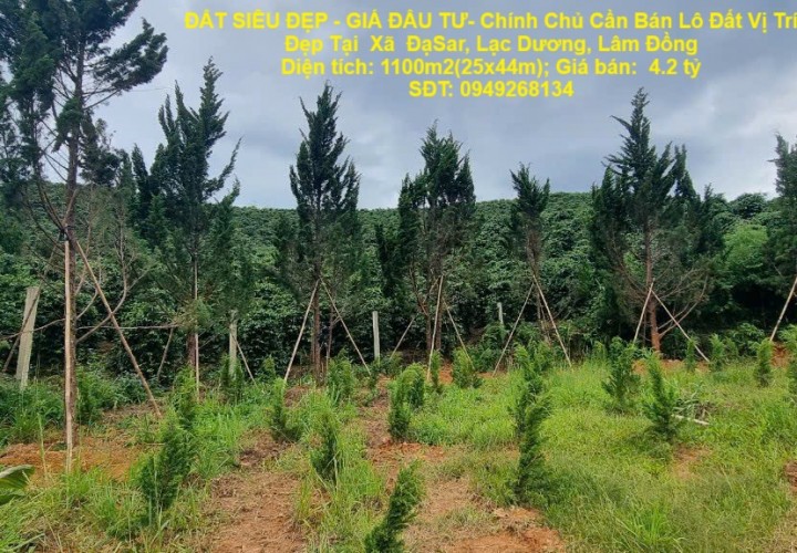 ĐẤT SIÊU ĐẸP - GIÁ ĐẦU TƯ- Chính Chủ Cần Bán Lô Đất Vị Trí Đẹp Tại  Xã  ĐạSar, Lạc Dương, Lâm Đồng