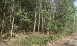 ĐẤT CHÍNH CHỦ - GIÁ CẮT LỖ  - CHÍNH CHỦ CẦN Bán Lô Đất Tại Xuân Trường, Xuân Lộc, Đồng Nai