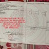 ĐẤT CHÍNH CHỦ - GIÁ CẮT LỖ  - CHÍNH CHỦ CẦN Bán Lô Đất Tại Xuân Trường, Xuân Lộc, Đồng Nai