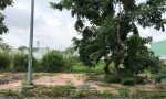 CHÍNH CHỦ Cần Bán Đất  Vị Trí Đẹp Tại khu tái định cư Phú An, Phú Thứ, Cái Răng, Cần Thơ