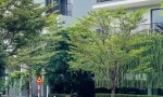 BÁN NHÀ PHỐ CHÍNH CHỦ – DỰ ÁN COMPOUND THE STANDARD AN GIA – TT Thành Phố Tân Uyên,Tỉnh Bình Dương