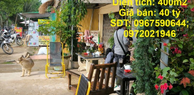 CHÍNH CHỦ BÁN NHÀ VÀ 6 PHÒNG TRỌ TẠI Đường Phù Đổng Thiên Vương, Phường 8, TP Đà Lạt.