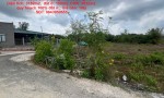 ĐẤT ĐẸP - GIÁ TỐT - Bán GẤP Lô Đất Tiềm Năng Tại  Xã Phước Bình,  Long Thành, Đồng Nai
