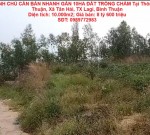 CHÍNH CHỦ CẦN BÁN NHANH GẦN 10HA ĐẤT TRỒNG CHÀM Tại LaGi, Bình Thuận - Giá Siêu Rẻ