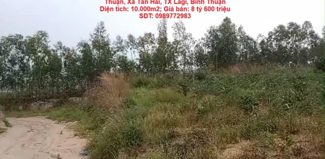 CHÍNH CHỦ CẦN BÁN NHANH GẦN 10HA ĐẤT TRỒNG CHÀM Tại LaGi, Bình Thuận - Giá Siêu Rẻ