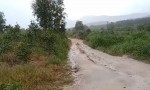 CHÍNH CHỦ CẦN BÁN NHANH GẦN 10HA ĐẤT TRỒNG CHÀM Tại LaGi, Bình Thuận - Giá Siêu Rẻ
