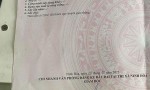 LÔ ĐẤT VỊ TRÍ ĐẸP- ĐẦU TƯ LÀ SINH LỜI Chính chủ Cần bán nhanh lô đất tại thị xã Ninh Hòa, tỉnh Khánh Hòa