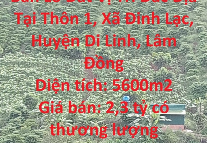 ĐẤT ĐẸP - GIÁ TỐT - Cần Bán Lô Đất Vị Trí Đắc Địa Tại Thôn 1, Xã Đinh Lạc, Huyện Di Linh, Lâm Đồng