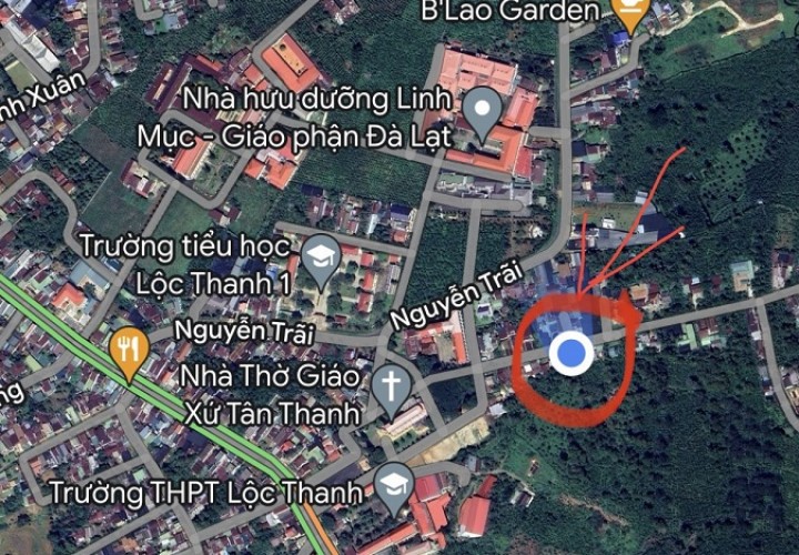 Bán GẤP Đất Thổ Cư - Gần Nha Thờ Tân Thanh, Bảo Lộc - Giá Cực Mềm