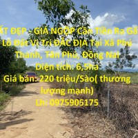 ĐẤT ĐẸP - GIÁ NGỘP Cần Tiền Ra Gấp Lô Đất Vị Trí ĐẮC ĐỊA Tại Xã Phú Thanh, Tân Phú, Đồng Nai
