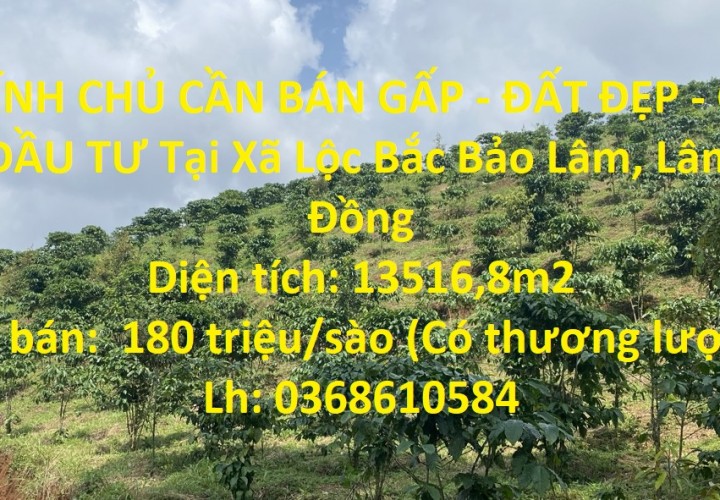 CHÍNH CHỦ CẦN BÁN GẤP - ĐẤT ĐẸP - GIÁ ĐẦU TƯ Tại Xã Lộc Bắc Bảo Lâm, Lâm Đồng
