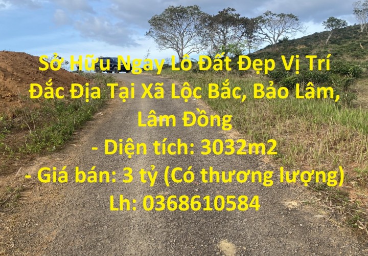 Sở Hữu Ngay Lô Đất Đẹp Vị Trí Đắc Địa Tại Xã Lộc Bắc, Bảo Lâm, Lâm Đồng